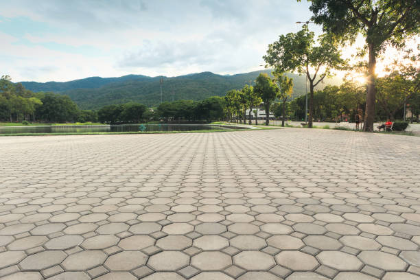 Best Concrete Paver Driveway  in Harvey, IL