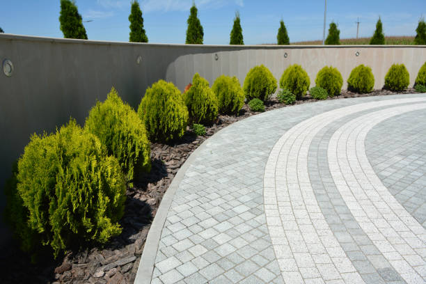 Best Concrete Paver Driveway  in Harvey, IL